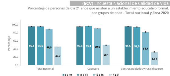 Gráfica Encuesta Nacional de Calidad de Vida (ECV) 2020